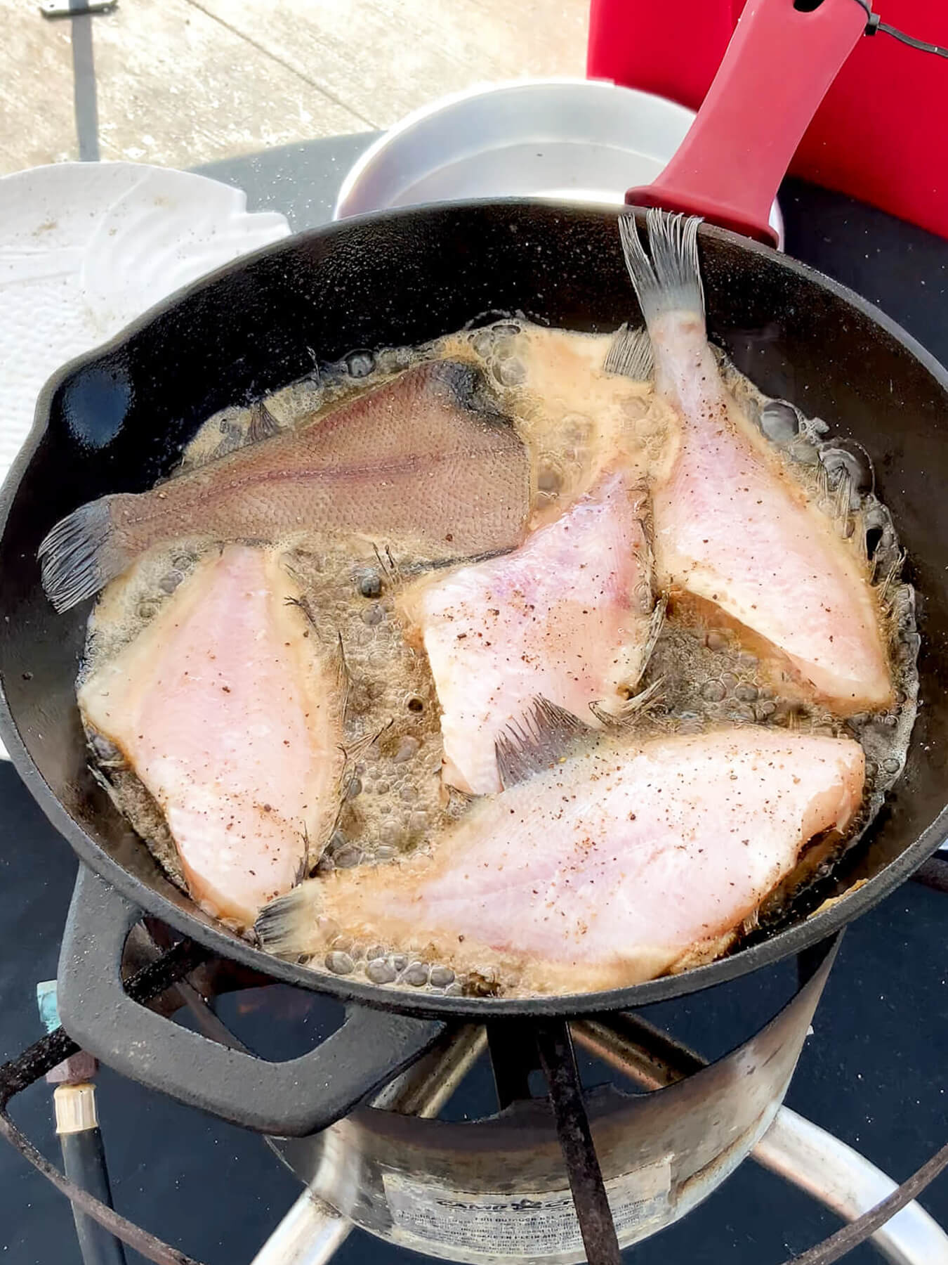 Whole PanFried Sand Dabs Recipes H&H Fresh Fish